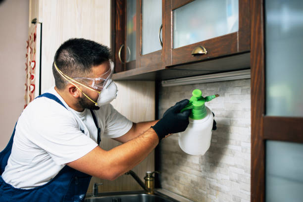 Best Pest Control for Homes  in Sparta, MI