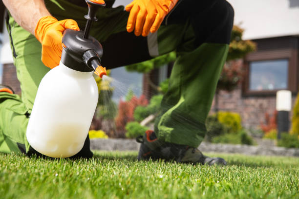 Best Emergency Pest Control  in Sparta, MI
