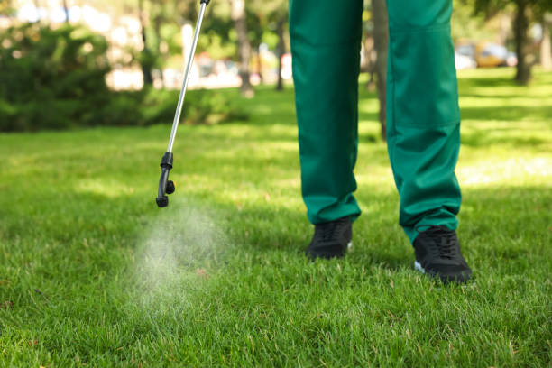 Best Pest Control Near Me  in Sparta, MI