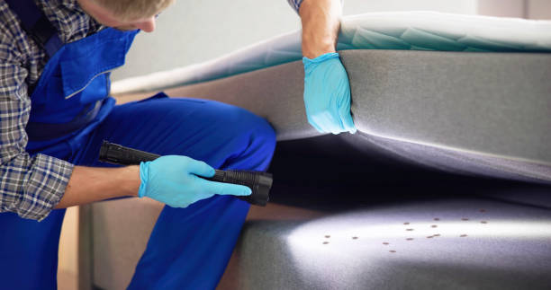 Best Wasp Removal Services  in Sparta, MI