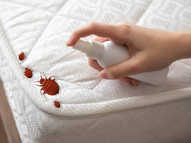 Best Pest Removal Services  in Sparta, MI