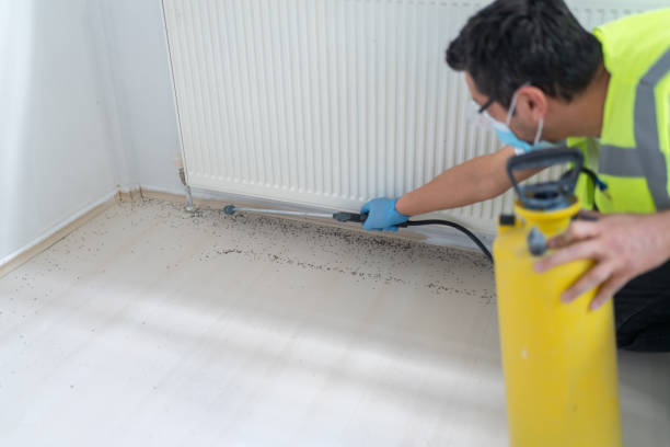 Best Termite Control Services  in Sparta, MI
